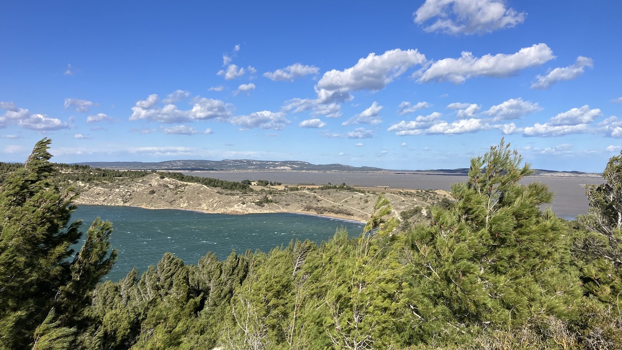 Photo of Others in Peyriac-de-Mer