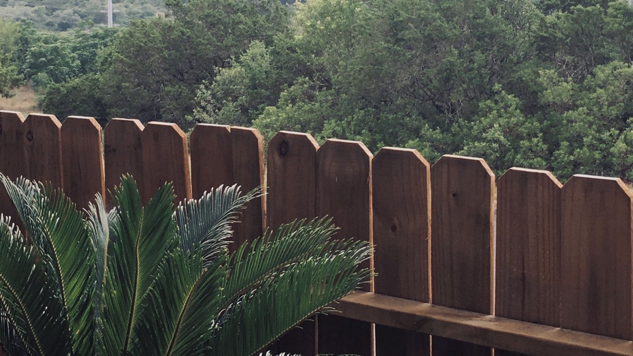 Photo of Others in Helotes