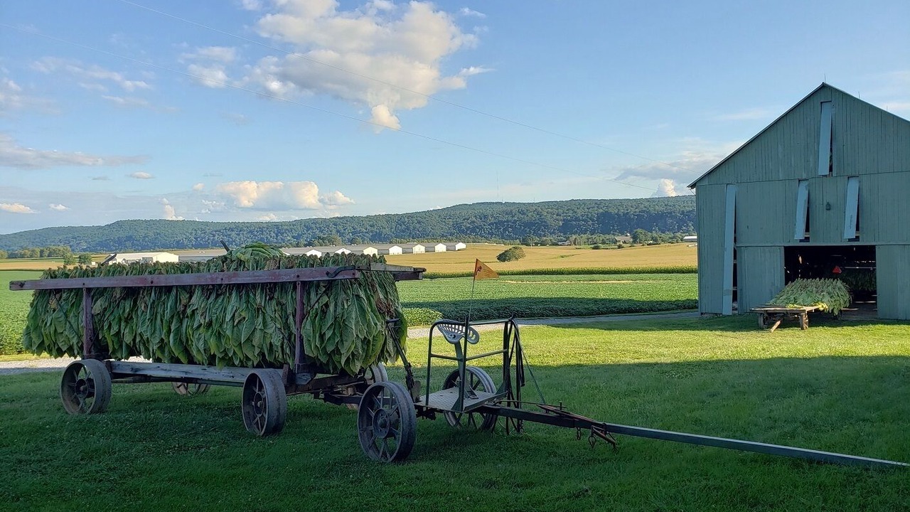 Photo of Outdoor in Bainbridge