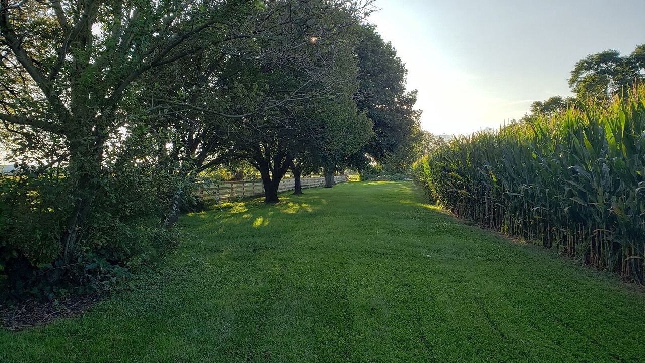 Photo of Outdoor in Bainbridge