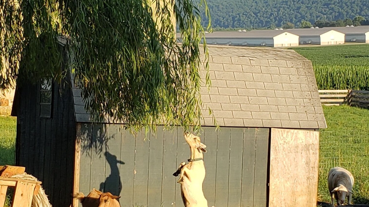 Photo of Outdoor in Bainbridge