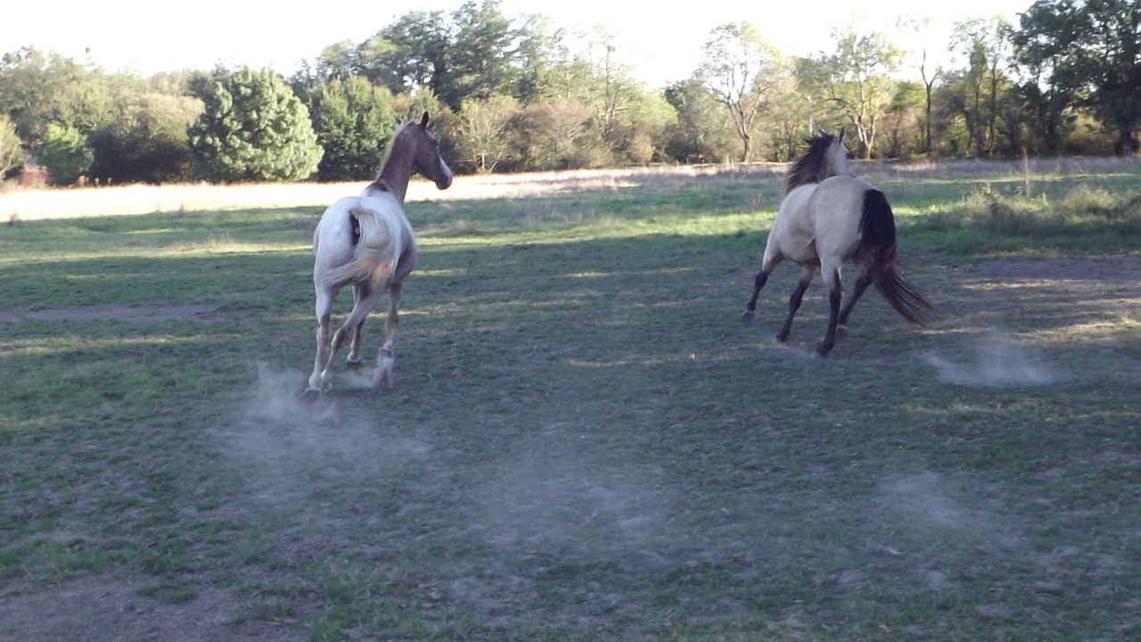 Photo of Others in Saint-Herblain
