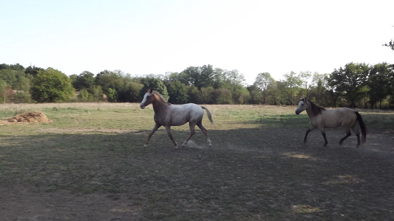 Photo of Others in Saint-Herblain