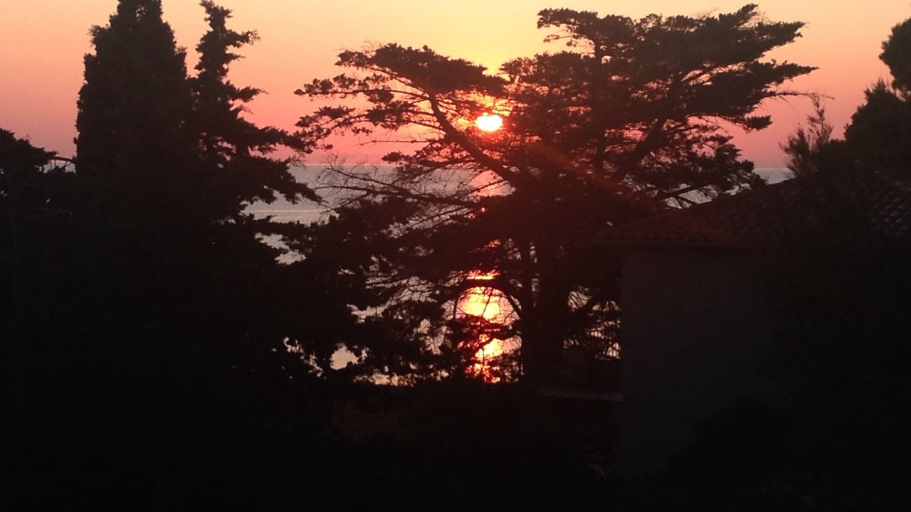 Photo of Outdoor in La Franqui