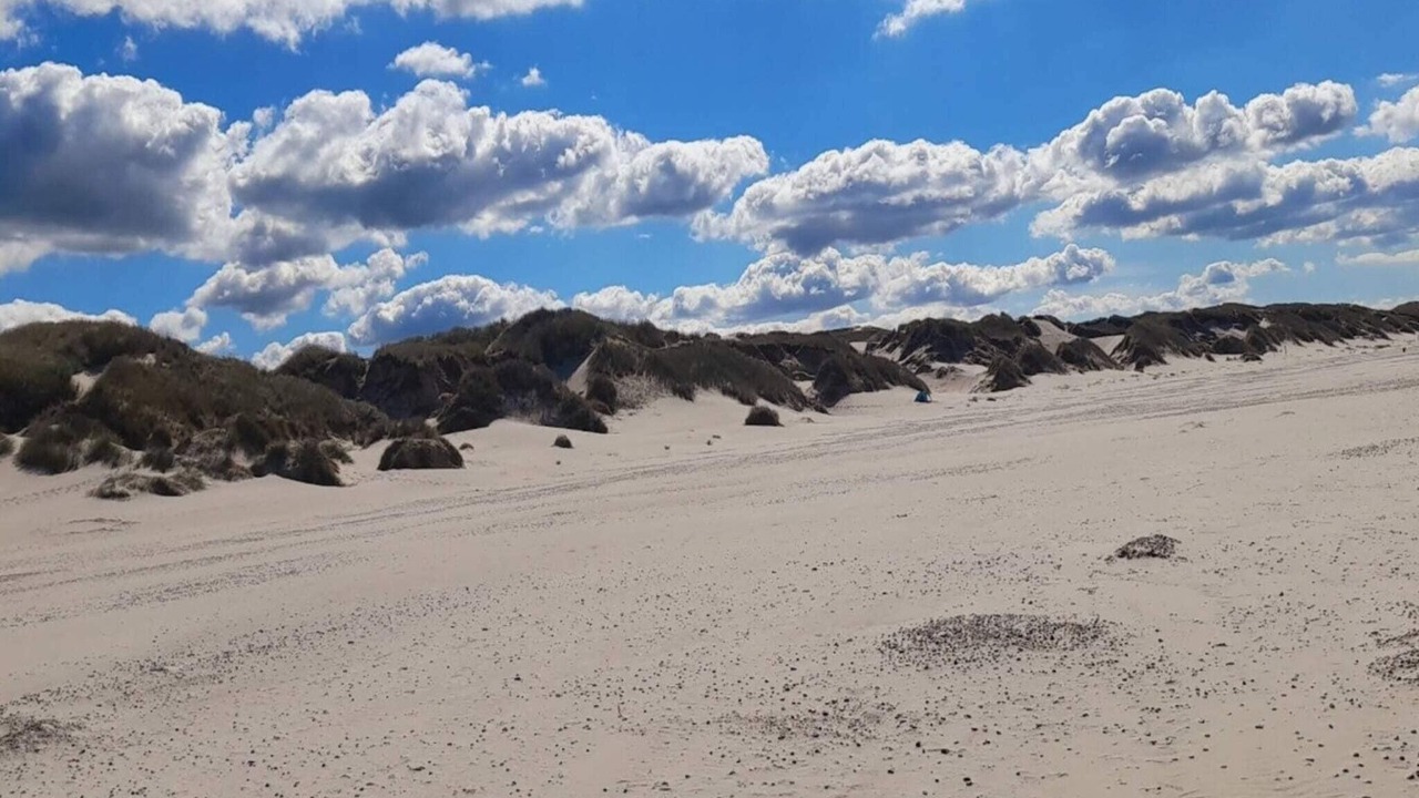Photo of Others in Henne Strand