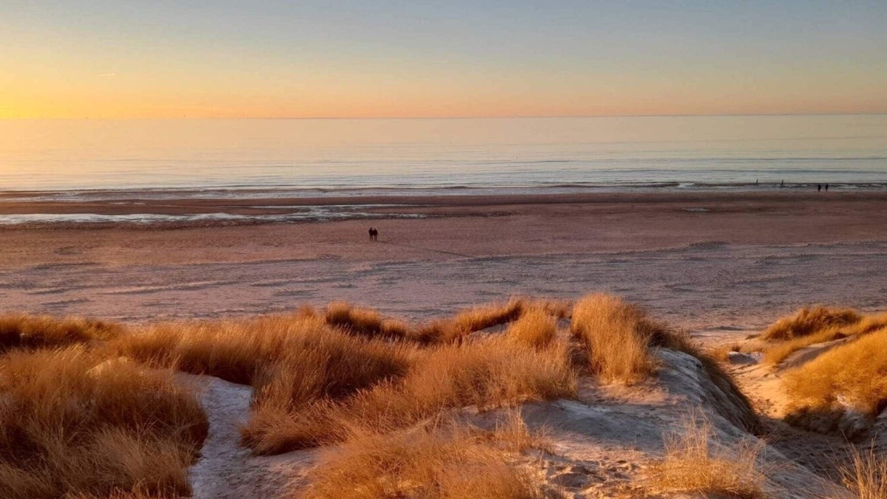 Photo of Others in Henne Strand