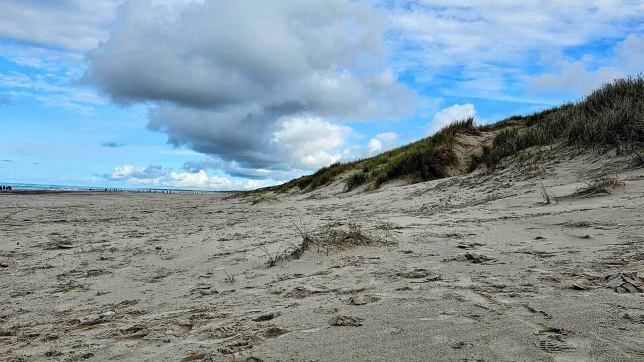 Photo of Others in Henne Strand