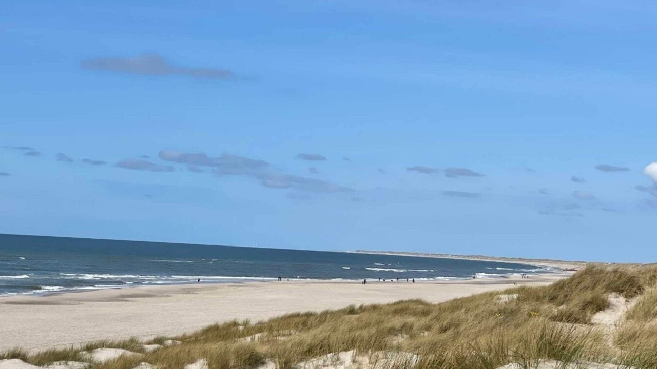 Photo of Others in Henne Strand