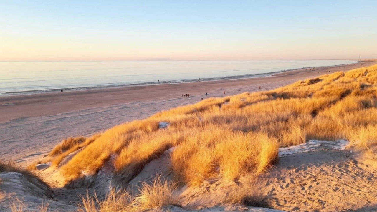 Photo of Others in Henne Strand