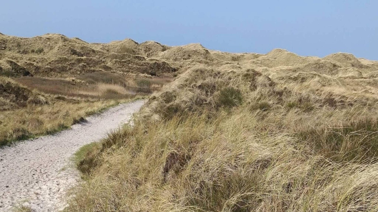 Photo of Others in Henne Strand