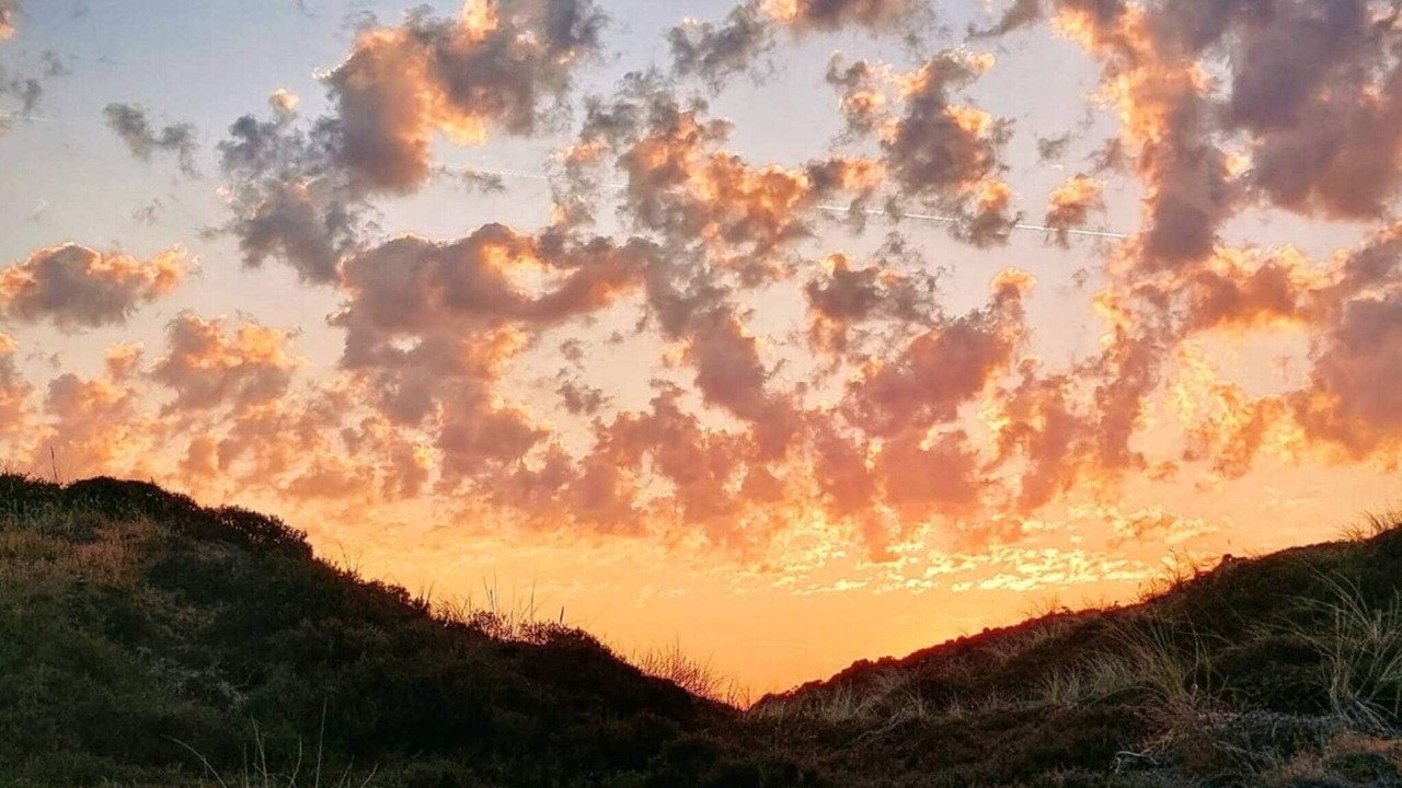 Photo of Others in Henne Strand