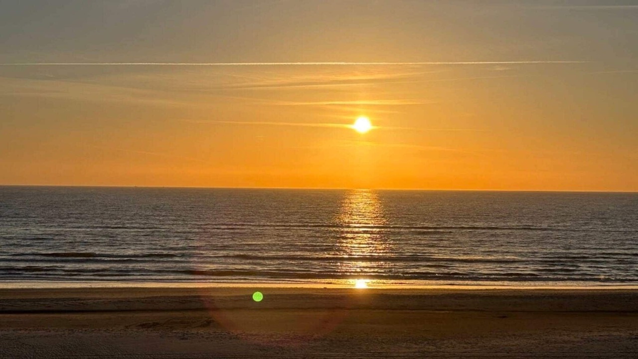 Photo of Others in Henne Strand