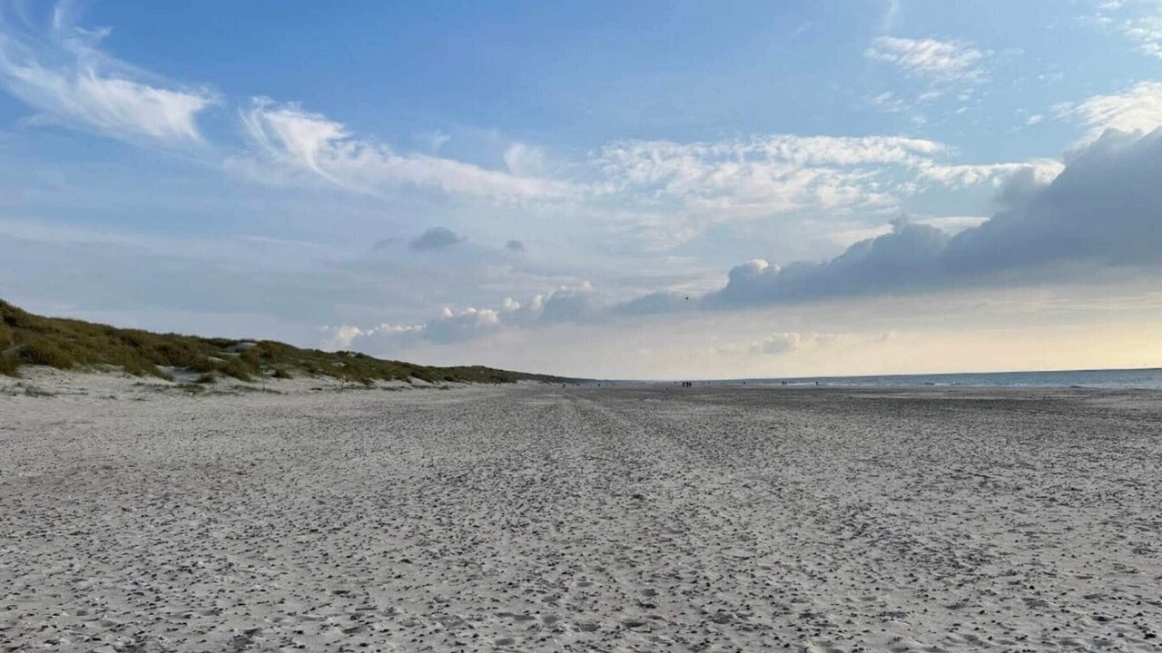 Photo of Others in Henne Strand