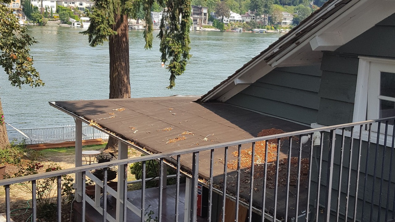 Photo of Others in Lake Oswego