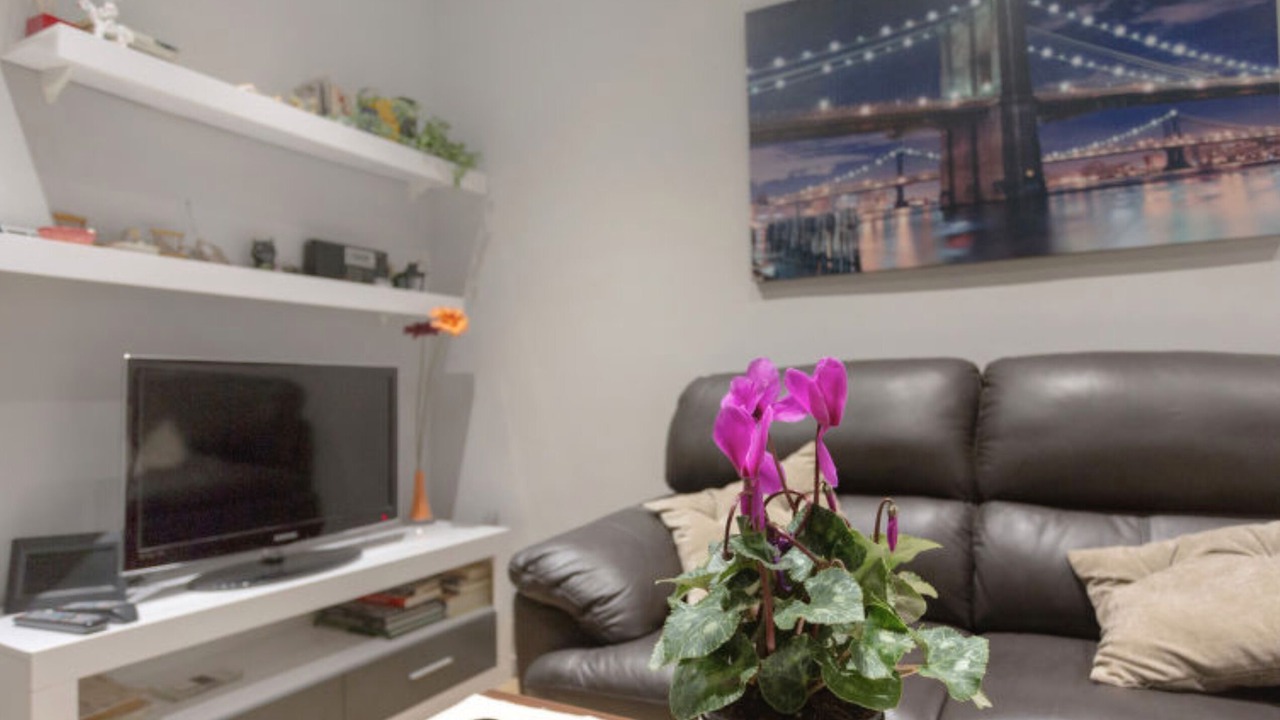 Photo of Livingroom in Ripoll