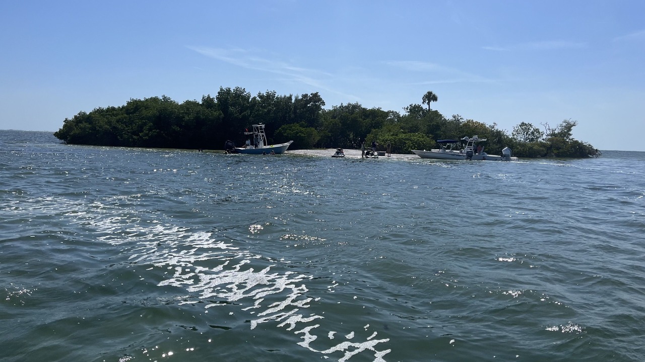 Photo of Others in Palmetto