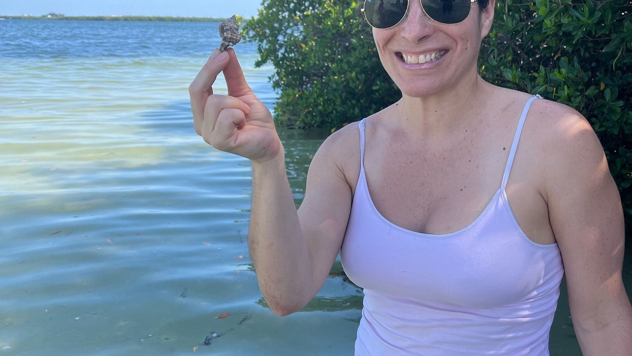 Photo of Others in Palmetto