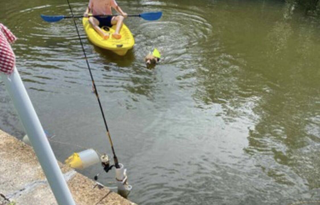 Photo of Others in Palmetto