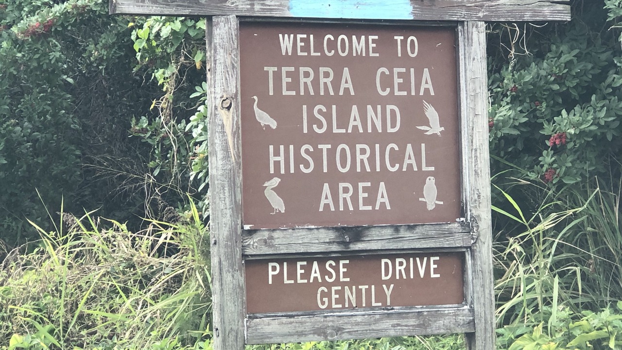 Photo of Others in Palmetto