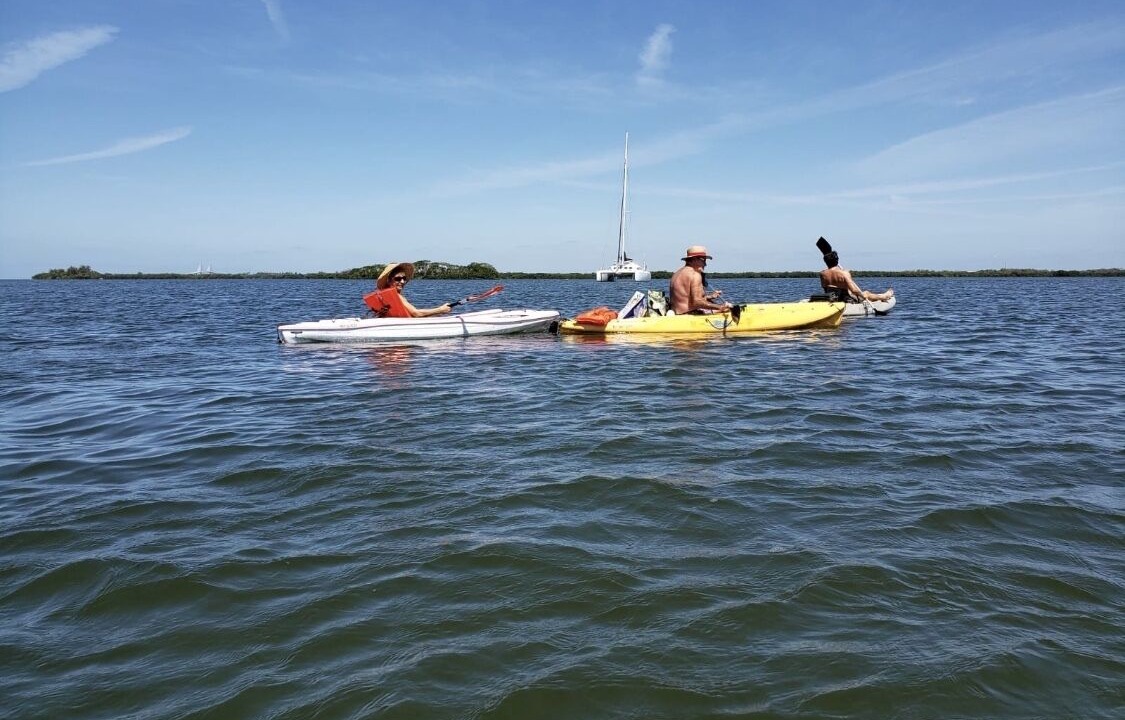 Photo of Others in Palmetto