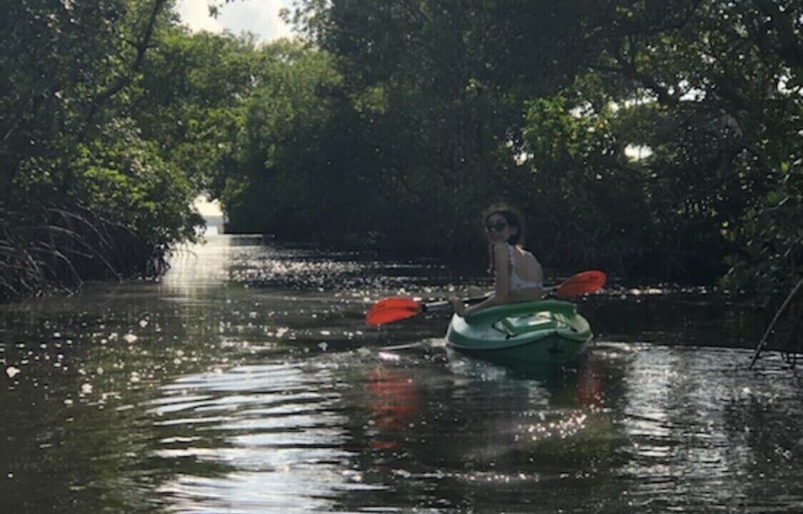 Photo of Others in Palmetto