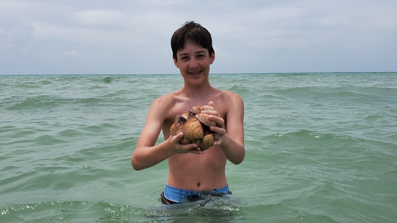 Photo of Others in Palmetto