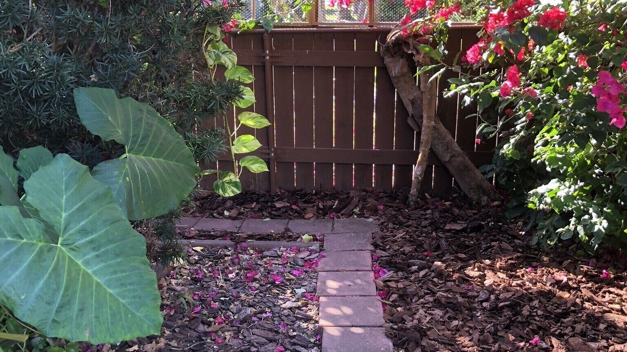 Photo of Outdoor in Palmetto