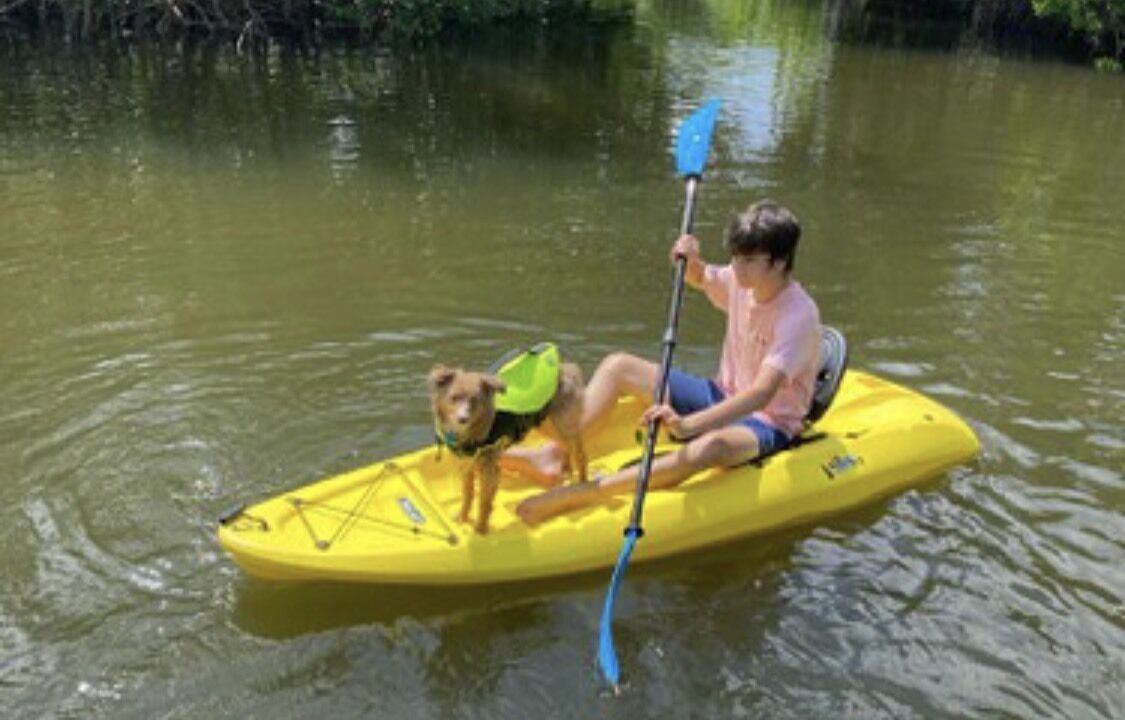 Photo of Others in Palmetto