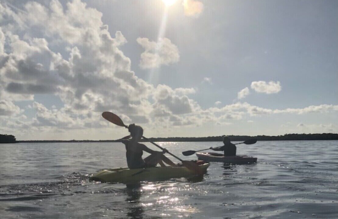 Photo of Others in Palmetto