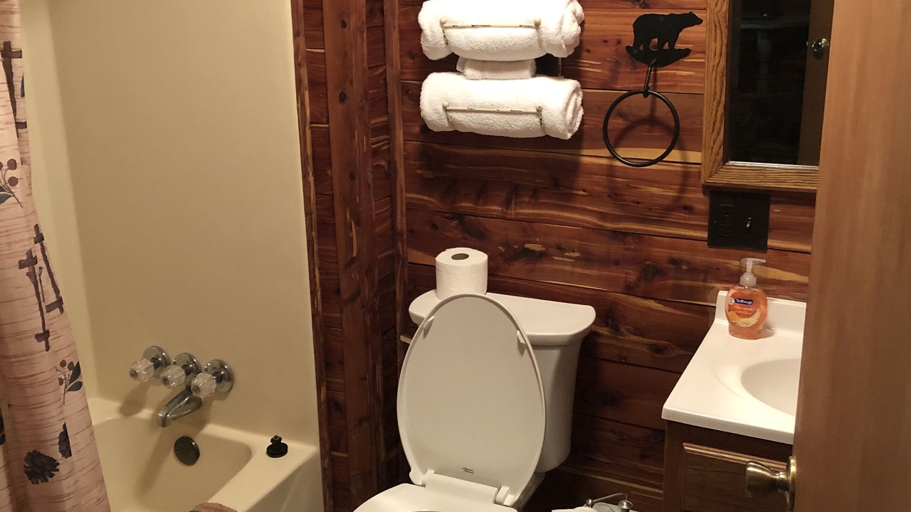 Photo of Bathroom in Heber Springs