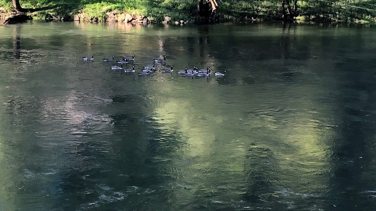 Photo of Outdoor in Heber Springs
