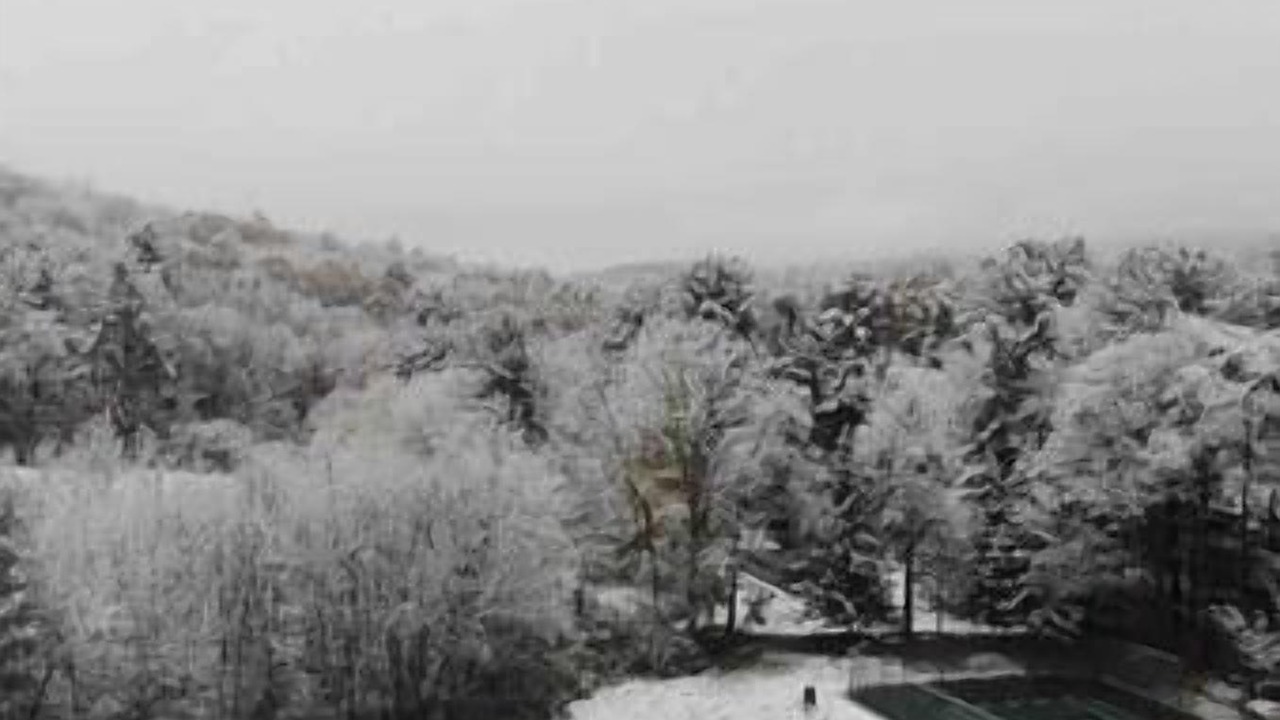 Photo of Others in Canaan