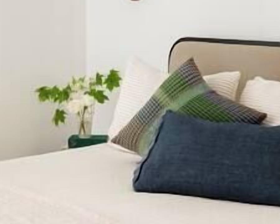 Photo of Others in Canaan