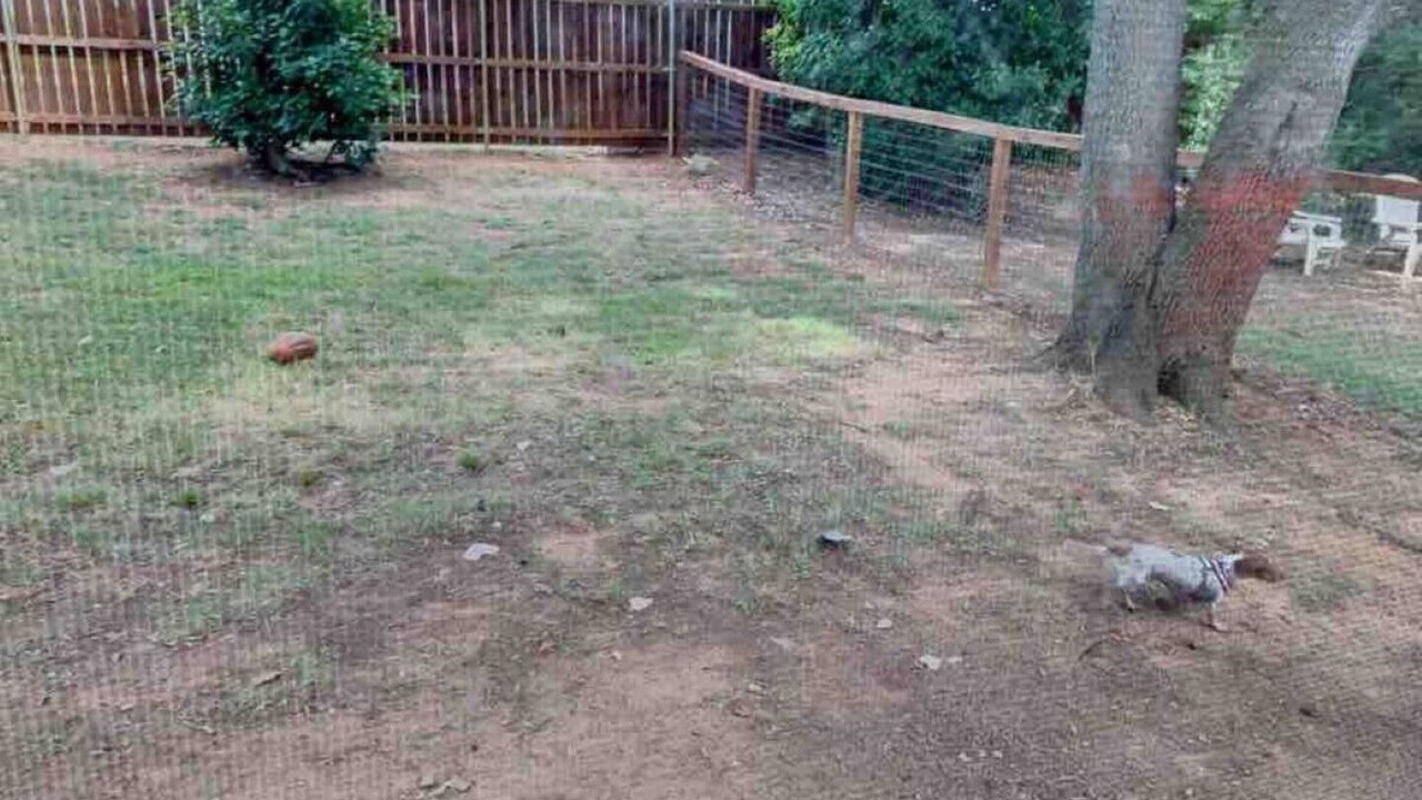 Photo of Outdoor in Pottsboro