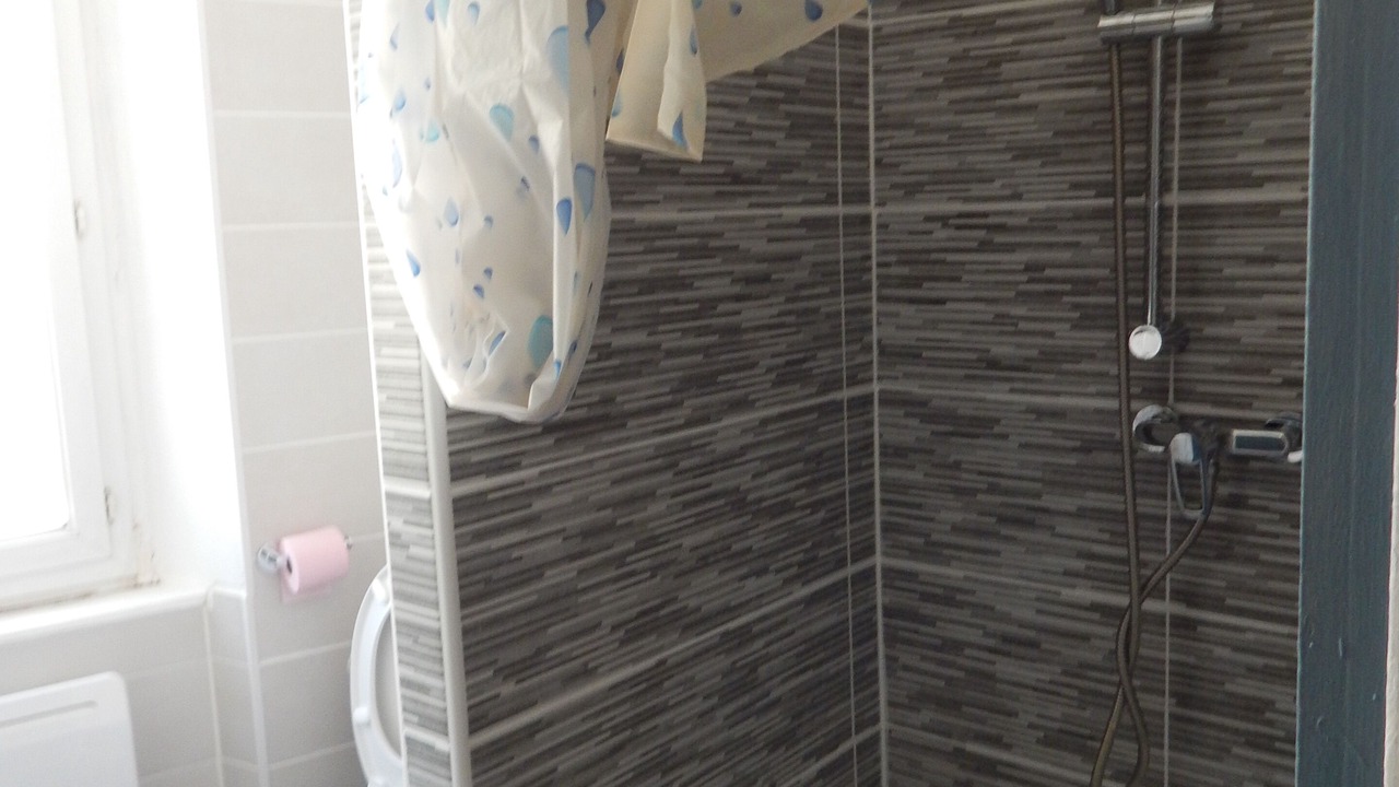 Photo of Bathroom in Coursan