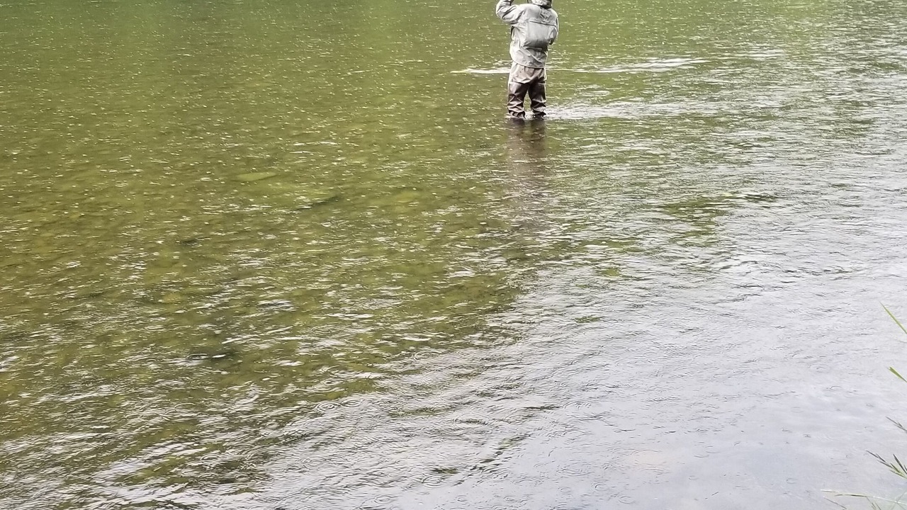 Photo of Others in East Branch