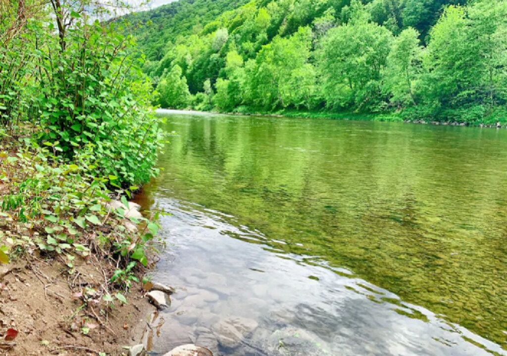 Photo of Others in East Branch