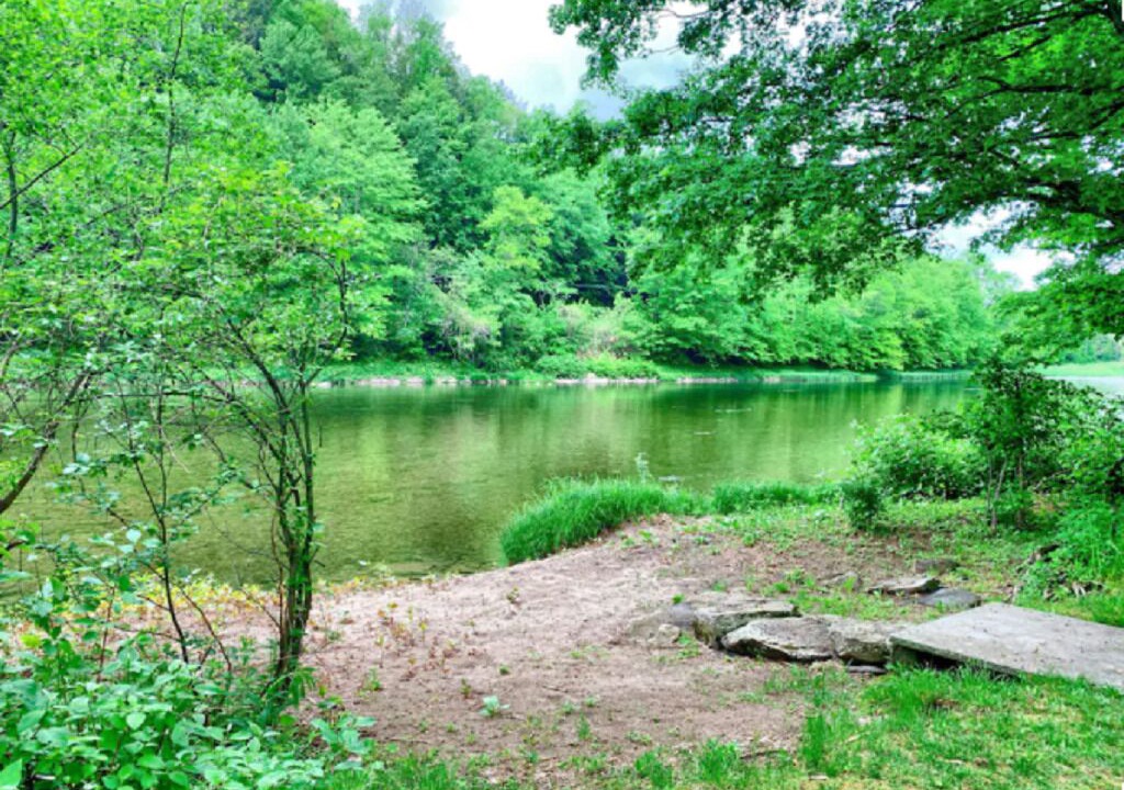 Photo of Others in East Branch