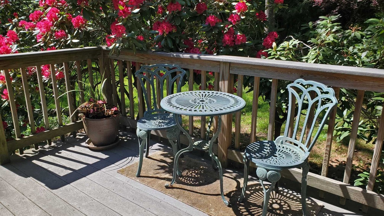 Photo of Outdoor in East Branch