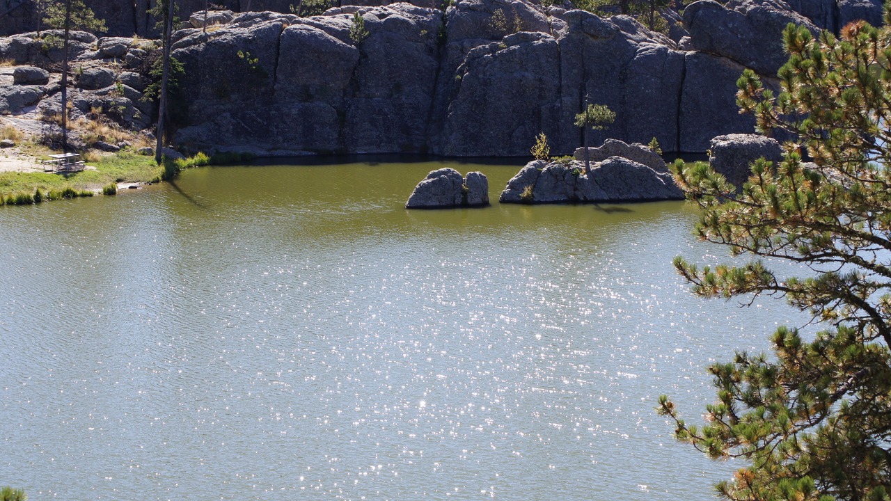 Photo of Others in Custer