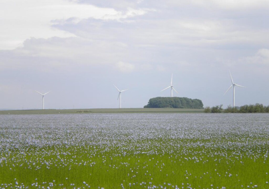 Photo of Outdoor in Houdetot