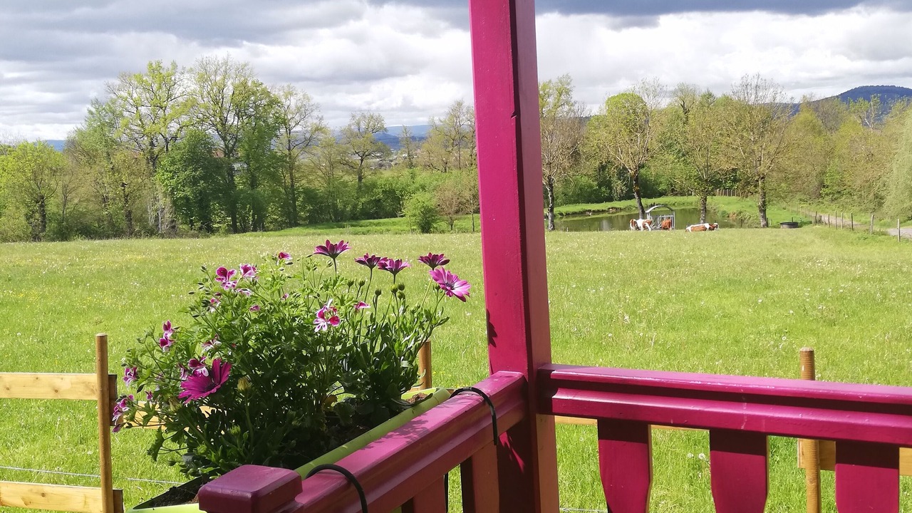 Photo of Outdoor in Chassagnes