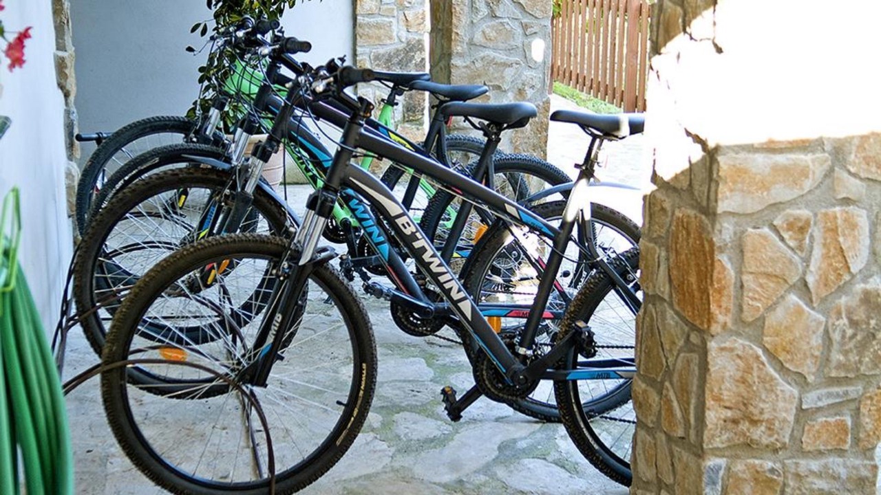 Photo of Outdoor in Queixas