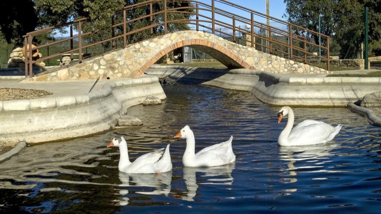Photo of Outdoor in Queixas