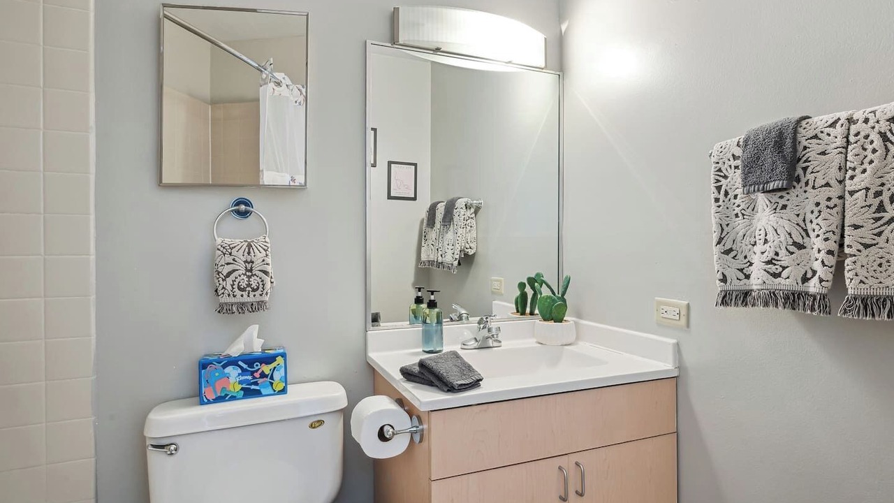 Photo of Bathroom in South Loop