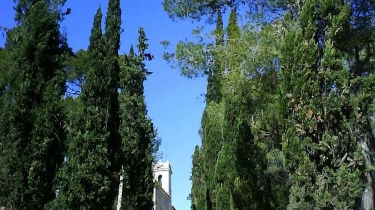 Photo of Outdoor in Alberique