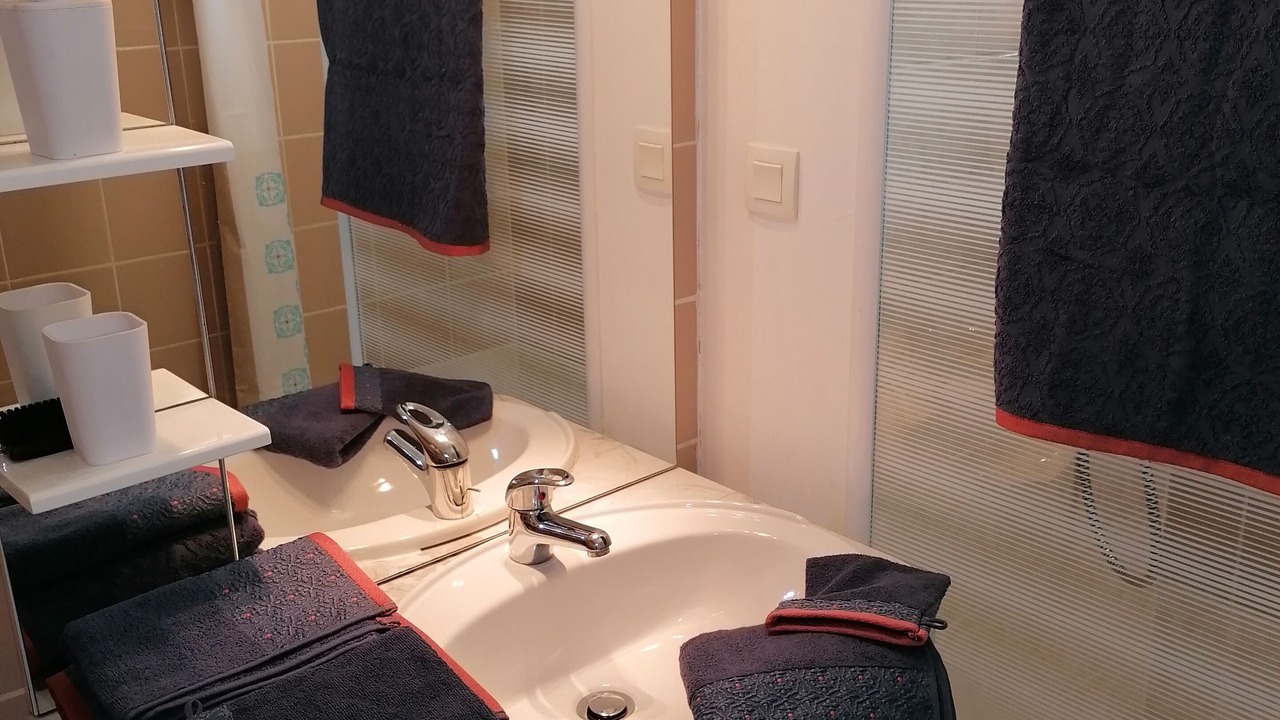 Photo of Bathroom in Saint-Ouen-La-Rouerie