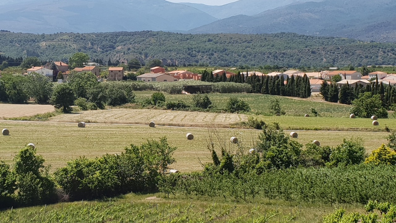 Photo of Outdoor in Rigarda