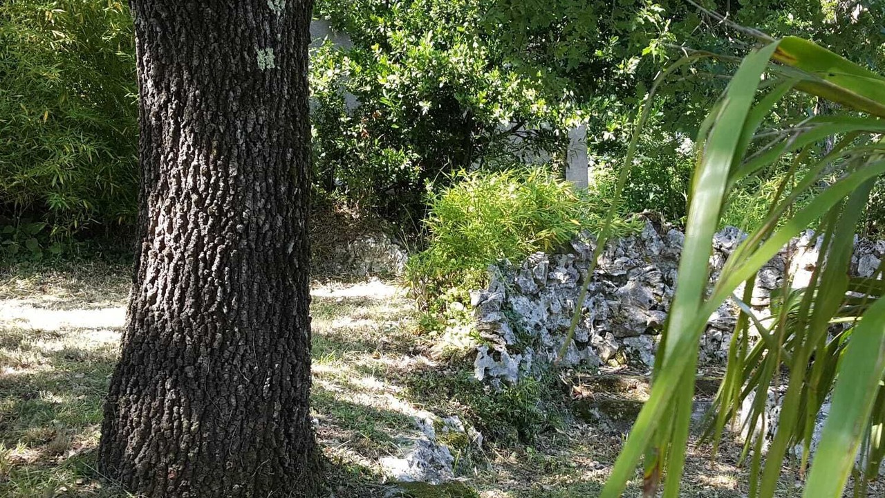 Photo of Outdoor in Rochegude