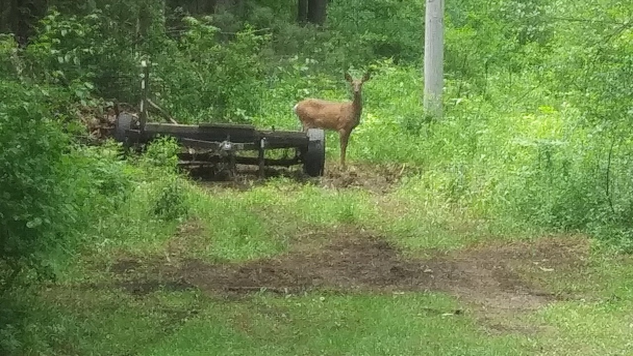 Photo of Outdoor in St Lawrence County